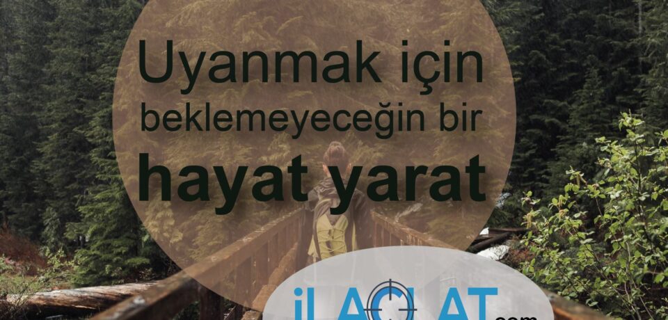 52410497_1912720052188181_2957123625116762112_o