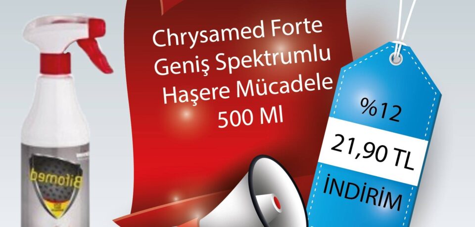 51576591_2020441311344112_7287348548167794688_o